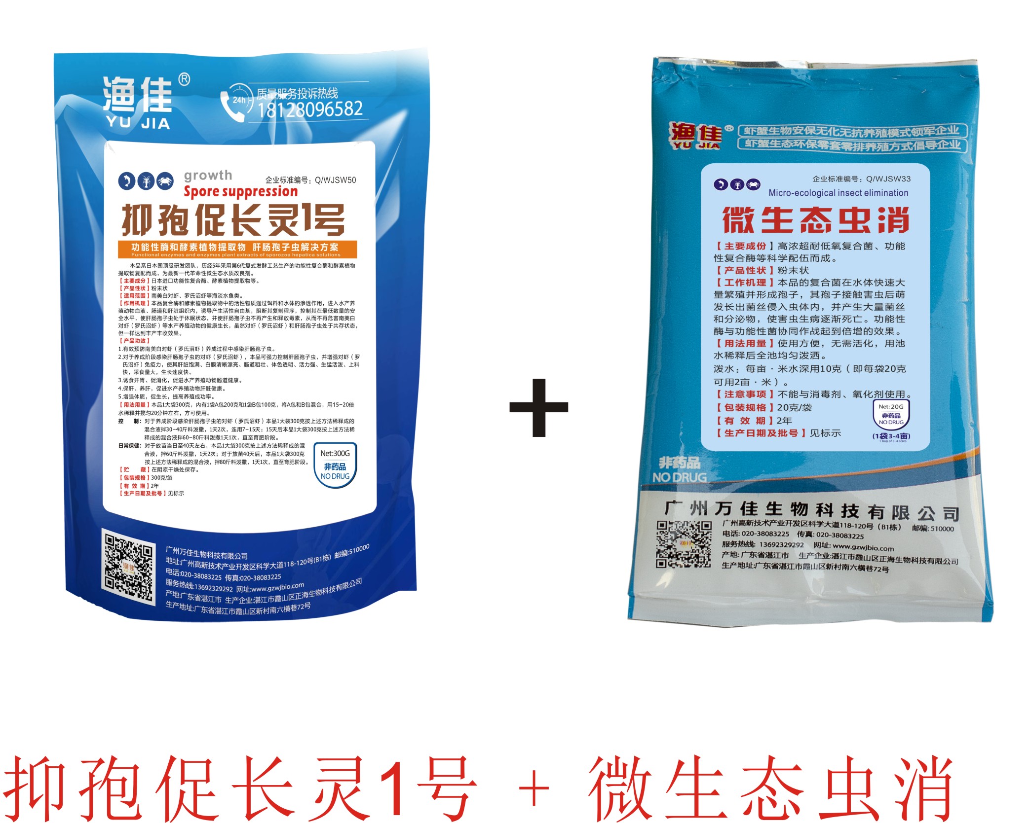 對(duì)蝦肝腸孢子蟲(chóng) 不用愁！