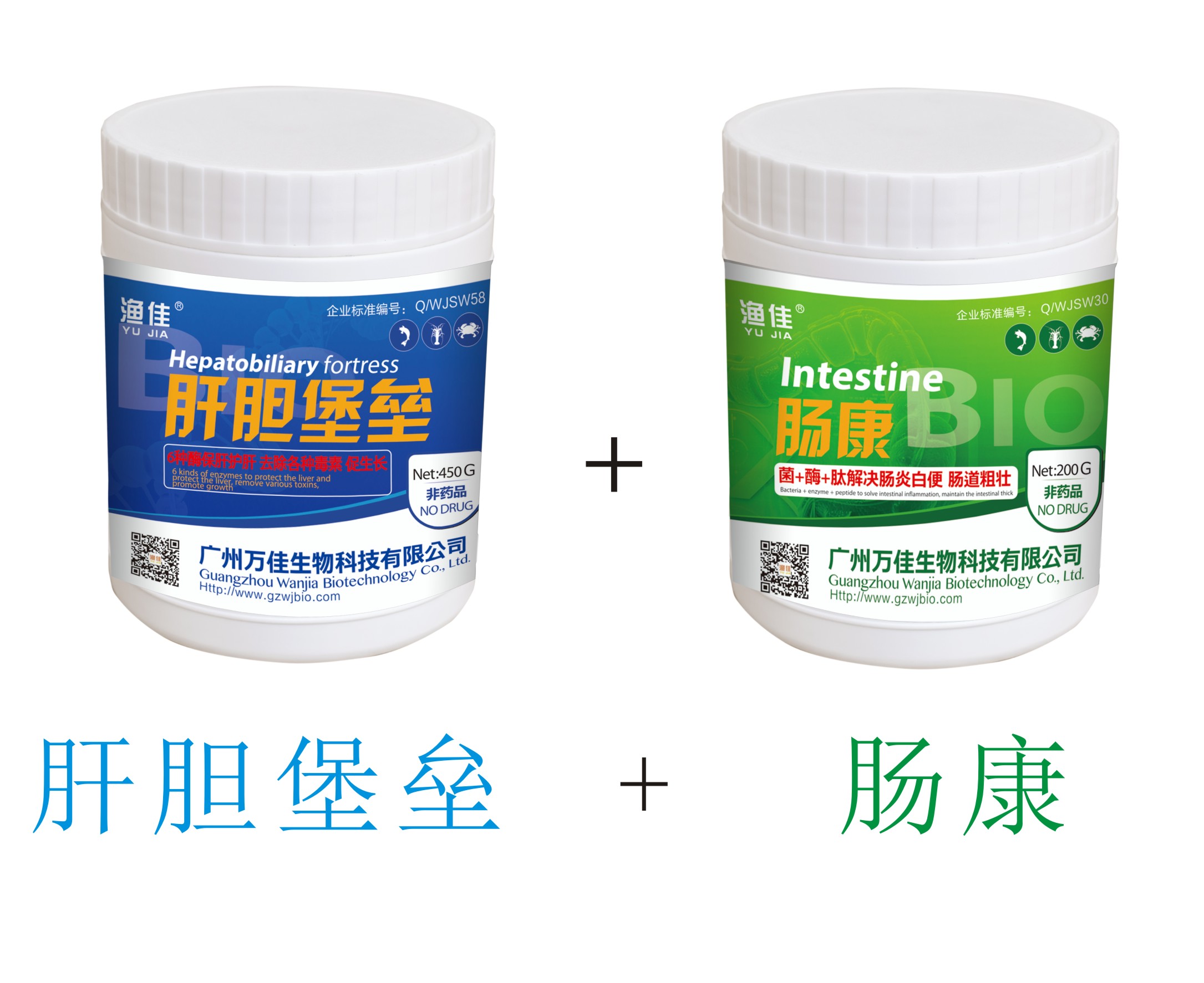 菌+酶+肽 保肝護(hù)腸！